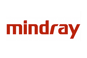 Logo Item
