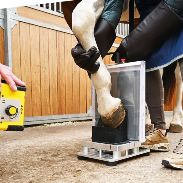 foto de caballo usando podoblock